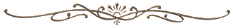 bar2.gif (2251 bytes)